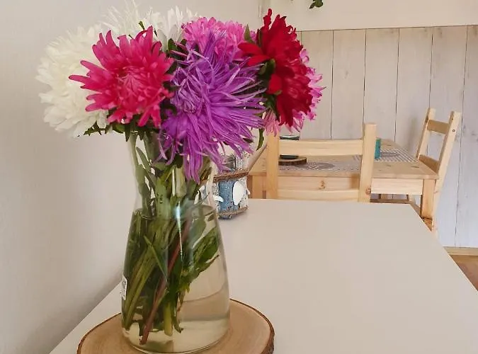 Apartman Morski Sen Ii *